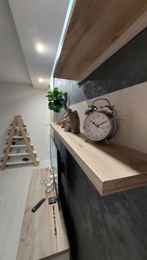 Apartman 23 بلغراد المظهر الخارجي الصورة