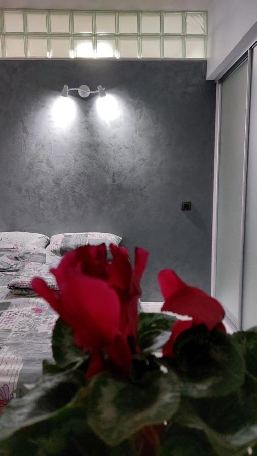 Apartman 23 بلغراد المظهر الخارجي الصورة